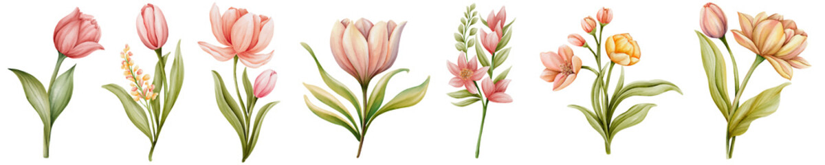 Spring floral flower watercolor 
