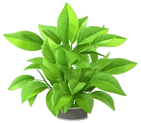 Vector green medium-leaf plant isolated