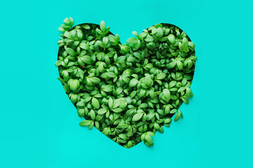 Micro green sprouts growing, shaped green heart.