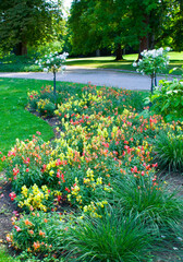 Beautiful garden with a flower garden and a lawn. Vertical photo.