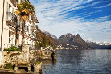 Amazing sunny view on lake Lugano: ducks n water and Swiss Alps