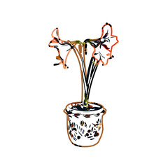 Color sketch of ornamental plants with transparent background