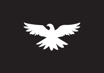 vector bird eagle pigeon design