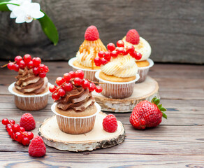 Chocolate and vanilla cupcakes decorated with fresh berries on rustic wooden background