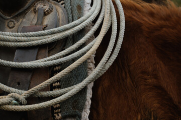 Used rope on horse with saddle for western industry cowboy tool.