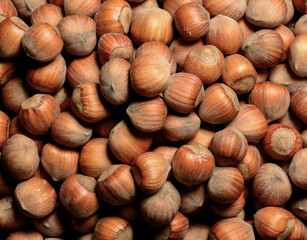 closeup of beautiful hazelnuts for banner background