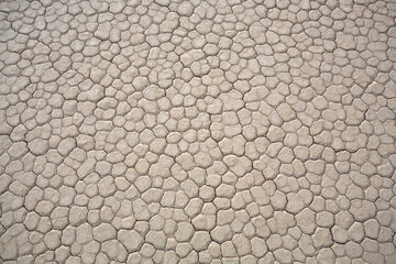 Death Valley Dry Lake Mud Cracks
