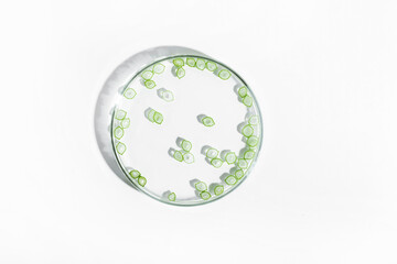 organic cosmetics, natural cosmetics, biofuels, algae. Natural green laboratory. Experiments. Petri dish with green plants on a light background.