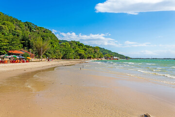 vegetação da Praia do Forte praia de jurere florianópolis santa catarina brasil jurerê internacional