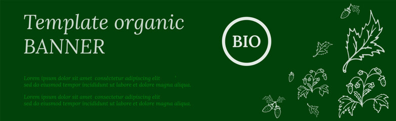 Organic banner template with greens and strawberries. Vector copy space. Healthy lifestyle concept.