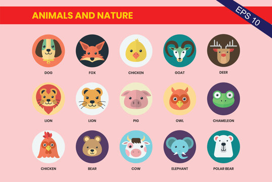 90 Pet Icon Set - Flat Icons