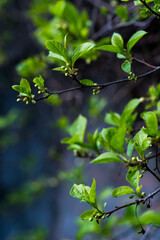 woman, people, walking, city, fashion, child, beauty, travel, person, park, summer, outdoor, family, railroad, nature, street, walk, outdoors, sky, urban, lady, train, autumn, bridge, railway