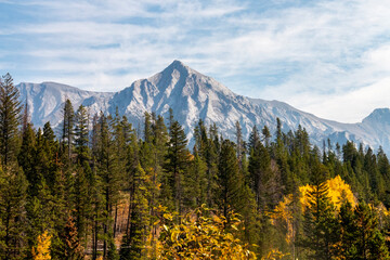 Travels through Canmore and Banff Alberta