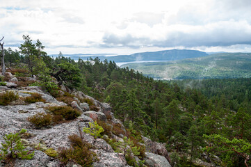 Rocks with forest and landscape with islands in Skuleskogen National Park in Sweden