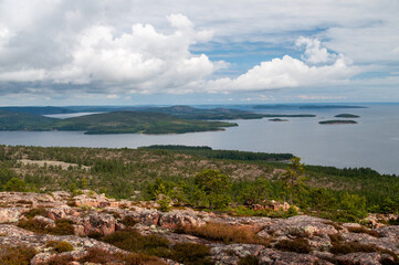 Rocky and wooded coast in northern Sweden in Skuleskogen National Park
