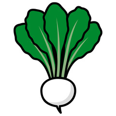 太い線で描かれたカットイラスト / 1個の葉付きのカブ