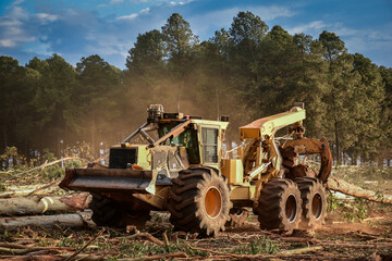 Logging Equipment Forest Machine