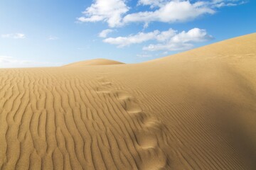 Footprints disappearing over a desert sand dune, Canary Islands