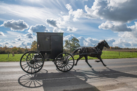 Amish horse and buggy on cloudy day.