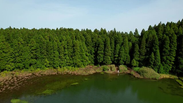 The Lagoa do Canario lake is related to the volcanic formation of the Sete Cidades crater and is surrounded by typical Macaronesian forests and Cryptomeria plantations