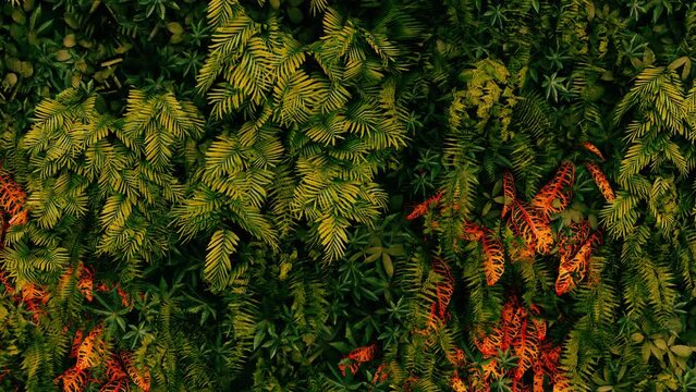 tropical leaves in the wind. 3d animation of leaves. 3d leaves background. color grading. looping animation of an exotic nature background. leaves in the wind at sunset