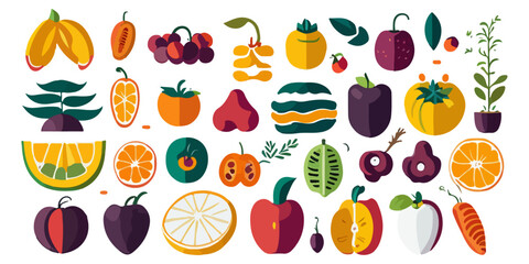 Creative Vector Set of Fruit Illustrations
