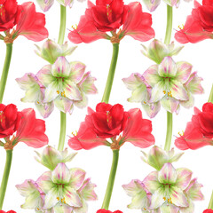 Watercolor illustration of seamless pattern with amaryllis flowers.