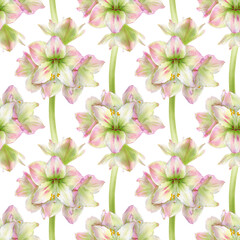 Watercolor illustration of seamless pattern with amaryllis flowers.
