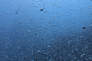 セブダイビング