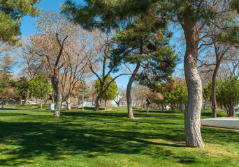 A Day of Tranquil Beauty in Nature. A tranquil scene of a lush green estate, adorned with trees and grass stretching out to the horizon beneath an endless blue sky.