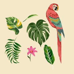 Set of Tropical Leaves and parrot