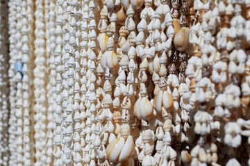 Handmade Multicolored Sea Shell Necklaces hanging on a Rack
