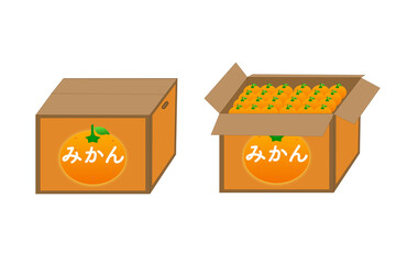 みかん箱