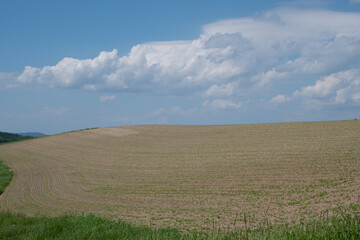 Obraz premium 植え付けが終わったビート畑 