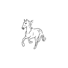 vector illustrator of running horse