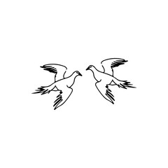 vector illustrator of two doves