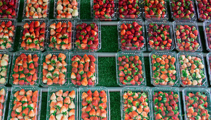 Strawberries in several plastic boxes laying on green artificial grass.