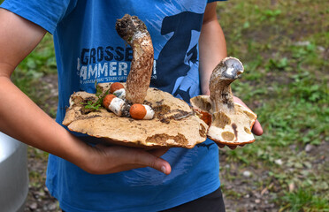 boy holding huge mushrooms 