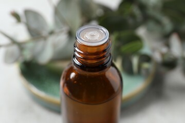 Bottle of eucalyptus essential oil against blurred background, closeup