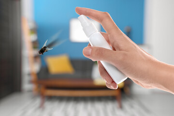 Woman using fly spray in room, closeup