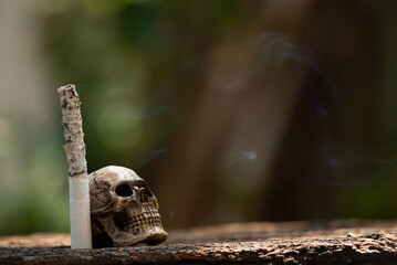 Cigarettes smoking and skull on nature background.