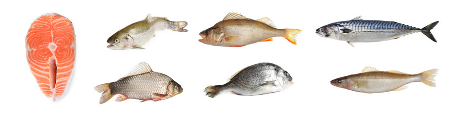 Collage with different types of raw fish on white background