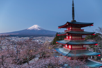 桜の咲いた朝倉山浅間公園忠霊塔から富士山と桜