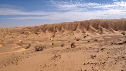 Fototapeta na wymiar Tall dunes surrounding a valley in the Sahara Desert, outside of Douz, Tunisia
