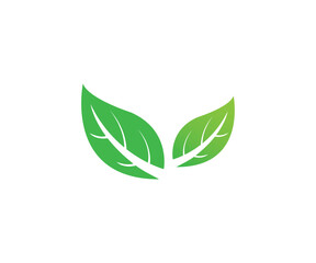 Leaves icon design vector template