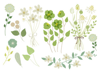 アースカラーのグリーン イラスト 素材