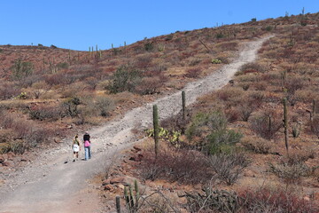 Fototapeta premium Two people walking on a dirt road in the desert
