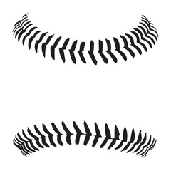 Baseball Stitches, Baseball lace ball illustration Vector