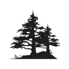 pine tree, vintage logo concept black and white color, hand drawn illustration