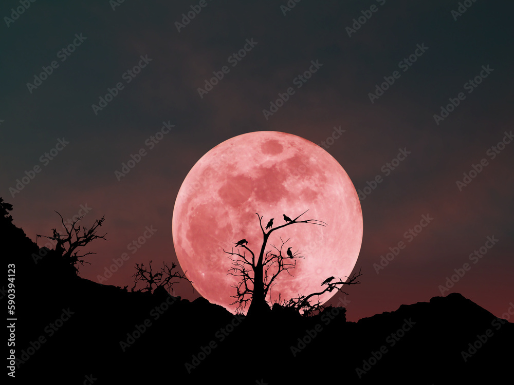 Wall mural silhouette of a dry tree with a crow perched in nature with a red full moon.